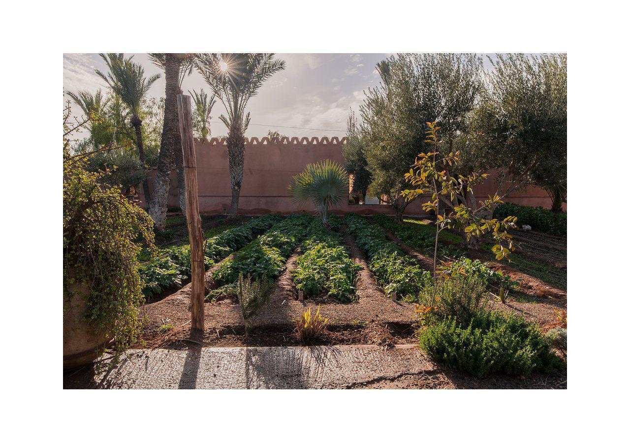 Villa 55 Marrakech Marrakesh Bagian luar foto