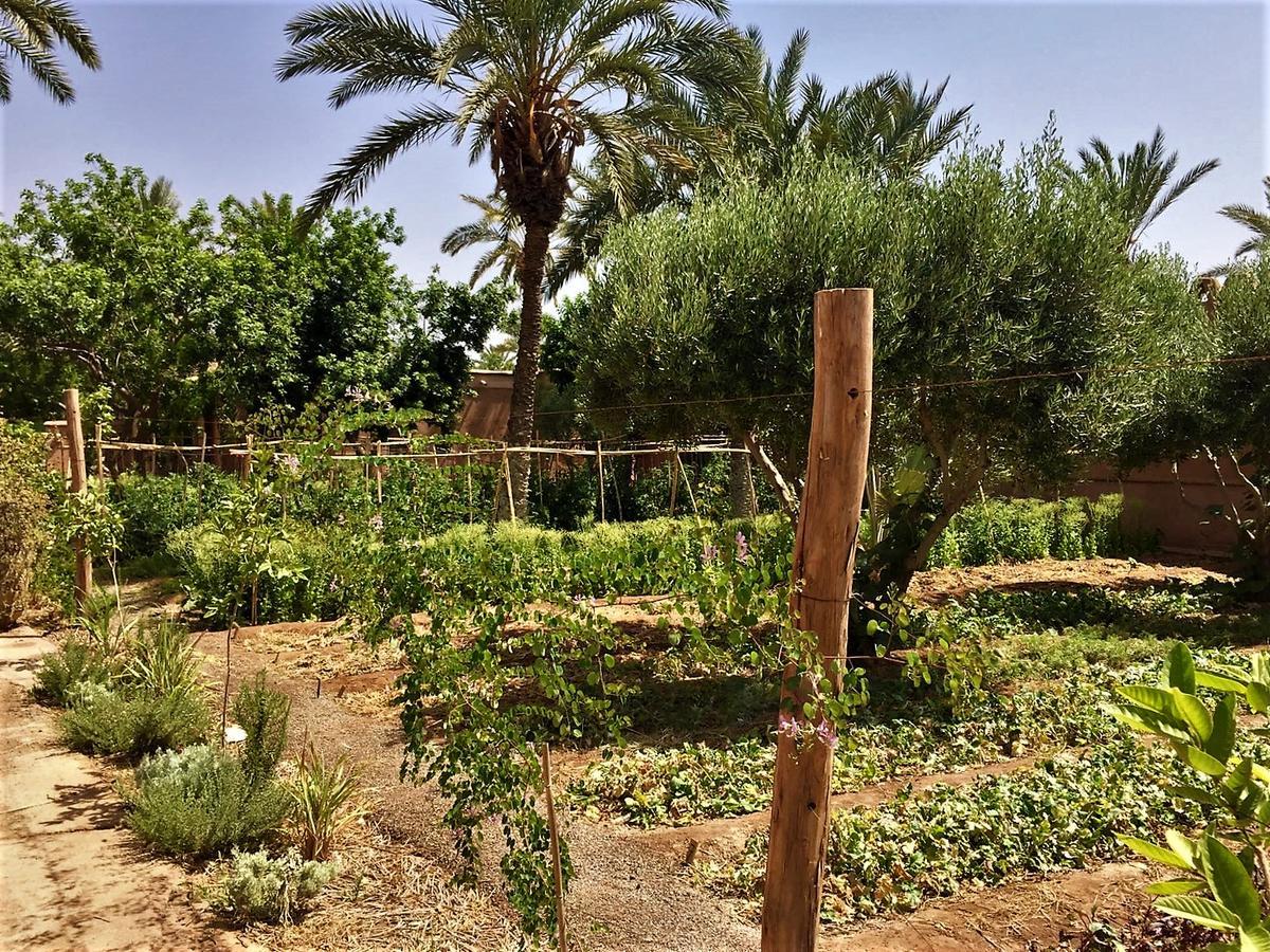 Villa 55 Marrakech Marrakesh Bagian luar foto